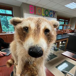 Meet your Posher, Reece